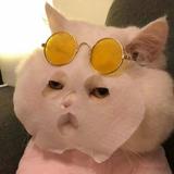 张蛋大头像