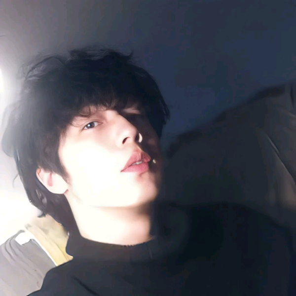 你的夏树和开雨燕的跑了头像