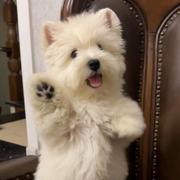 好运不段的个人资料头像