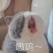 栋二栋二的个人资料头像