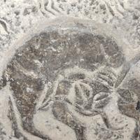 英明果断奶茶e7头像