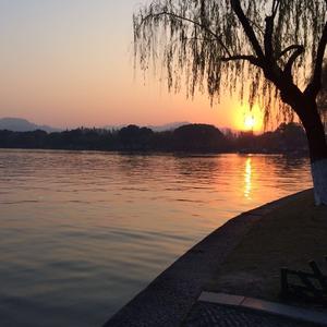青听未迟头像