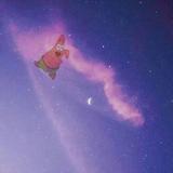 董先生1516133头像