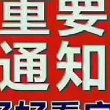 高级菠萝k9头像