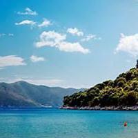 一个追风的人头像