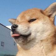 雪风555的个人资料头像