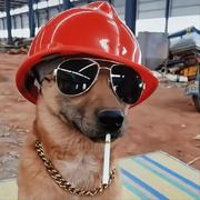 程汁儿的个人资料头像