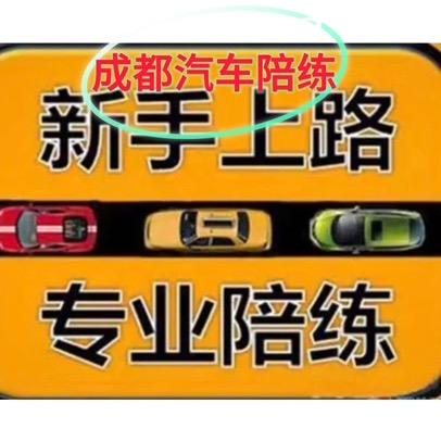 成都陪驾陪练头像