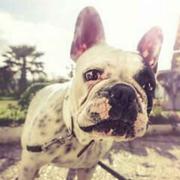 曹本强的个人资料头像