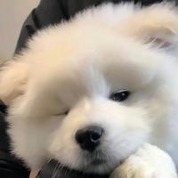 用户5082291658266头像