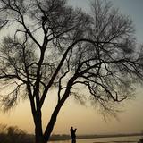 飛龙不会飞头像