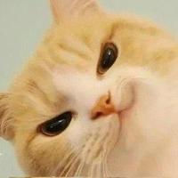 用户8806238810995头像