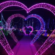 快乐公主的个人资料头像