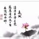 柳瑶135头像