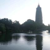 大漠飞鹰Liu头像