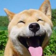 两知的个人资料头像