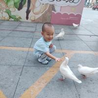 势必不平凡头像