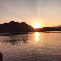 自由刘健忠头像