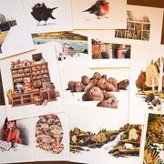 我是个球球的个人资料头像