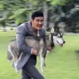 博学的水滴qa头像