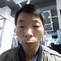 收萍果梨头像