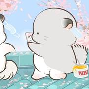 曹欣331的个人资料头像