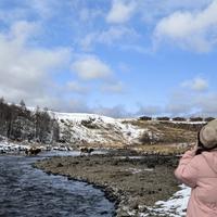 沉默的倔驴6头像