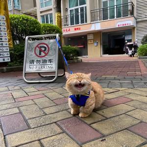 思涵头像