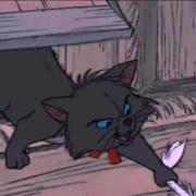 Khao的个人资料头像