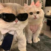 木子832的个人资料头像