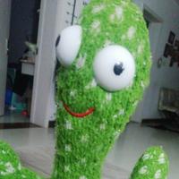 果园里品尝新果的佳宾头像