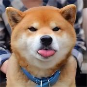 zhangnn520的个人资料头像