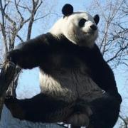 航仔276的个人资料头像