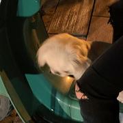 O0777的个人资料头像