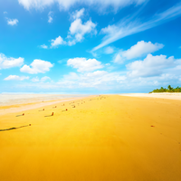 落花流水也头像