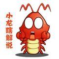 小龙瞎解说