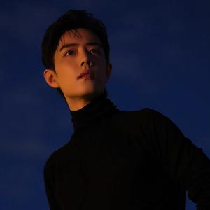 Roy宝贝肖战真爱头像