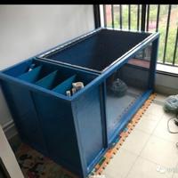 丹顶爱上红白头像