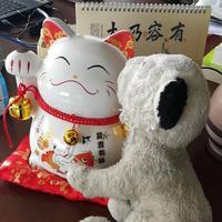 灵巧小猫zPv头像
