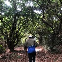 今晚执两剂头像