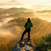 ALEX59的个人资料头像