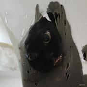 哼嘿哈吼的个人资料头像