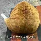 空心月亮762头像