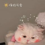 婷婷的黄小帅头像