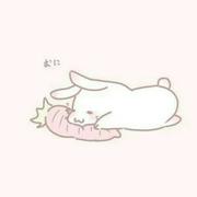 南桉538的个人资料头像