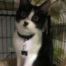 牛逼的个人资料头像