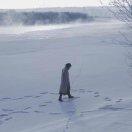 宏本尊105875的个人资料头像