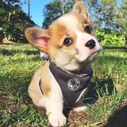 Sunny467的个人资料头像