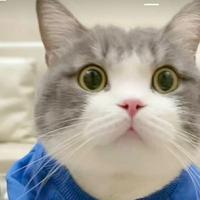 在山的那边有个蓝精灵155头像