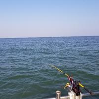 用户9637573910794头像